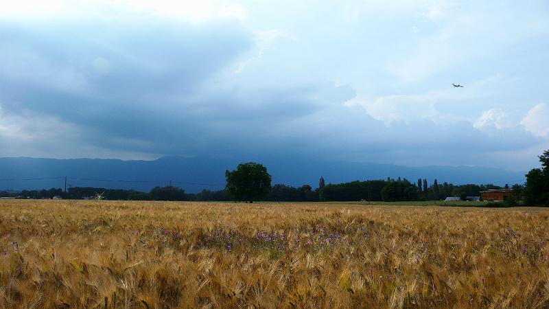Genève 06-07 017.jpg